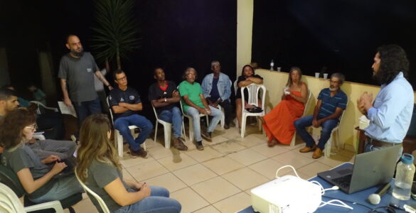 Reunião 4Cs devolutiva pesquisa PNO